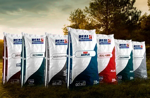 Produtos Real H